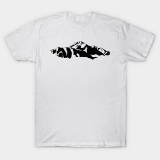 Mount Denali Alaska T-Shirt